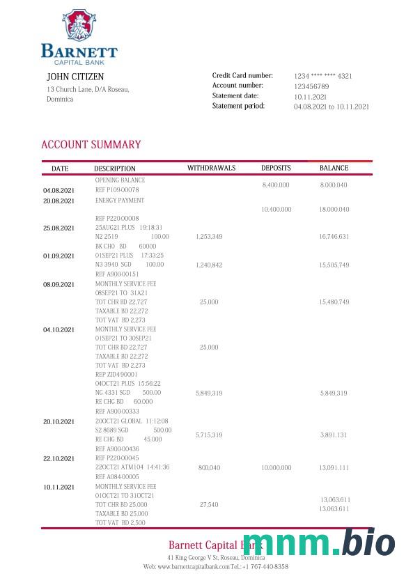 Szablon wyciągu z banku Dominica Barnett Capital w programie Word i PDF